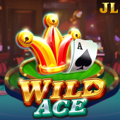 Wild Ace at ok fun
